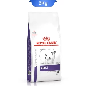 adult_small_dog_royall