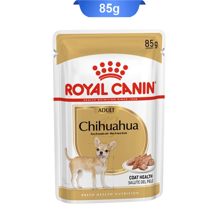 chihuahua_pooch chihuahua_pooch