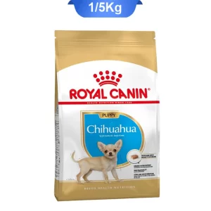 chihuahua_puppy_royall