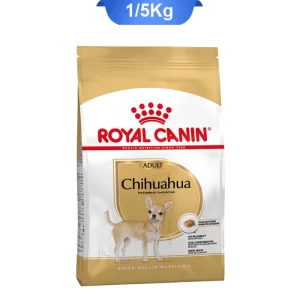 chihuahua_royall