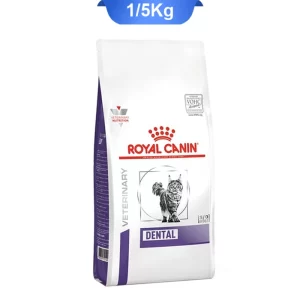 dental_cat_royall