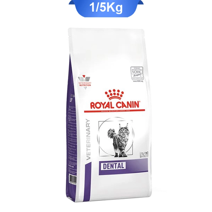 dental_cat_royall dental_cat_royall