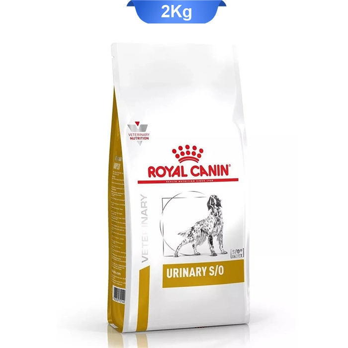 urinary_so_dog urinary_so_dog