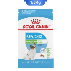 x_small_puppy_royall