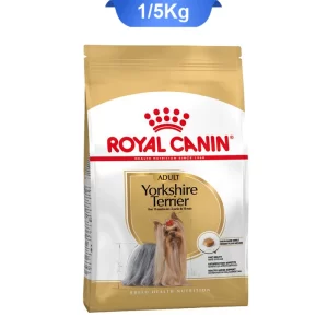 yorkshire_adult_royall