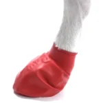 پاپوش سگ های نژاد کوچک ضد آب جنس لاتکس 12 عددی (Pawz) - Image 3