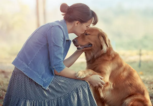 سگ گلدن رتریور