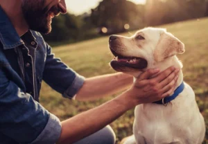 باهوش ترین نژاد سگ