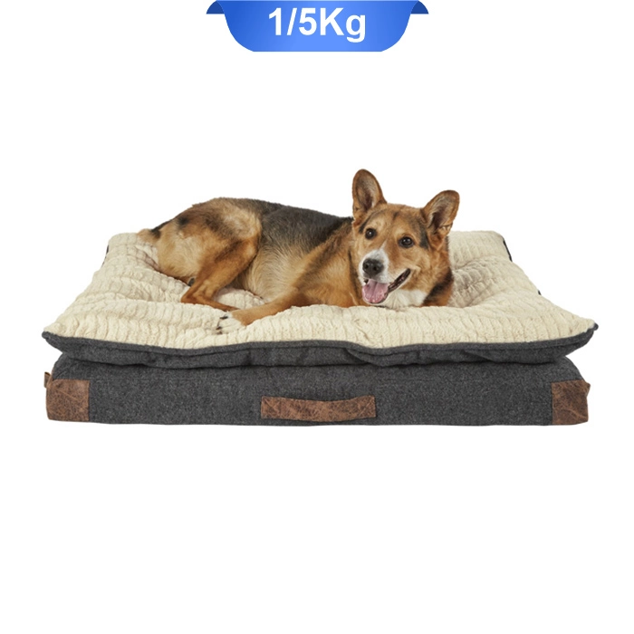 jaye_khab_dog jaye_khab_dog