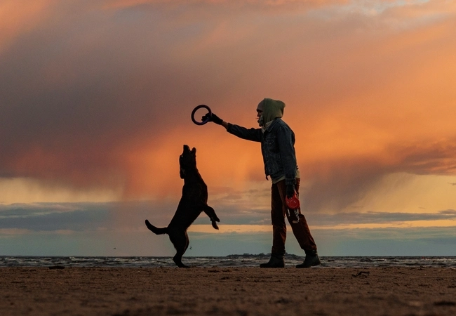 نگهدارری از سگ روتوایلر