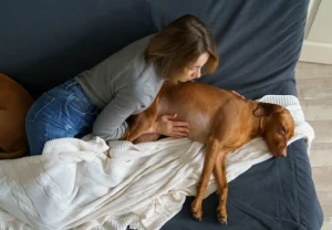 مسمومیت سگ و روش های درمان آن