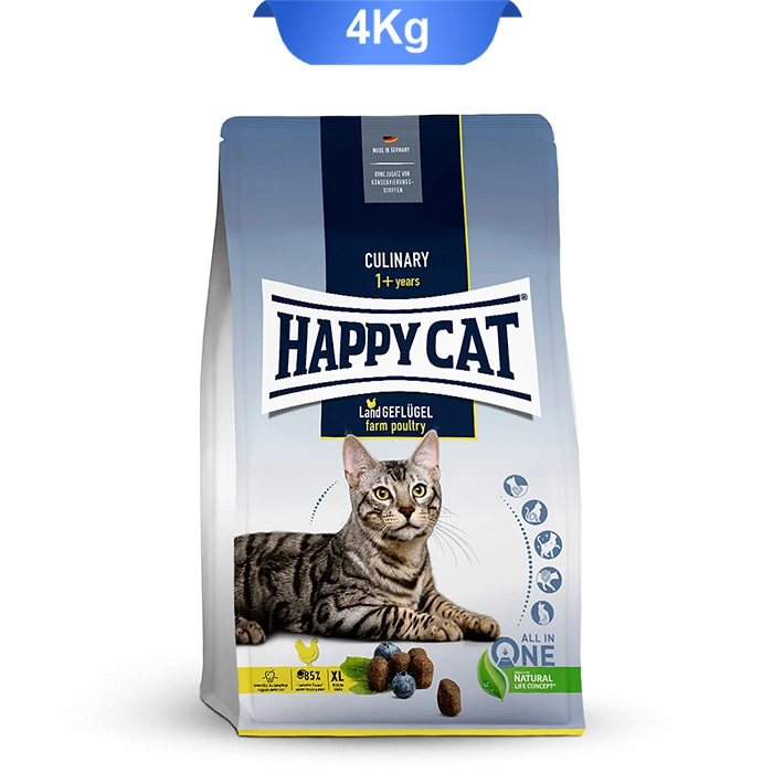 culinary_chicken_happy_cat4 culinary_chicken_happy_cat4