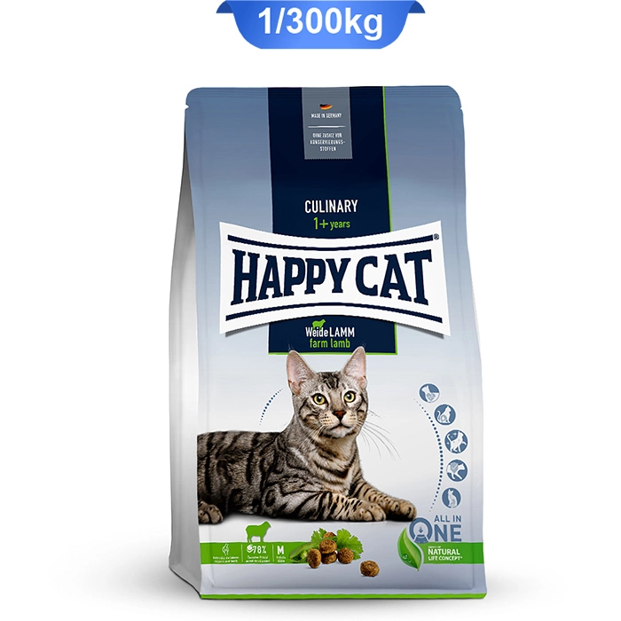 culinary_lam_happy_cat culinary_lam_happy_cat