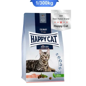 culinary_salmon1.300