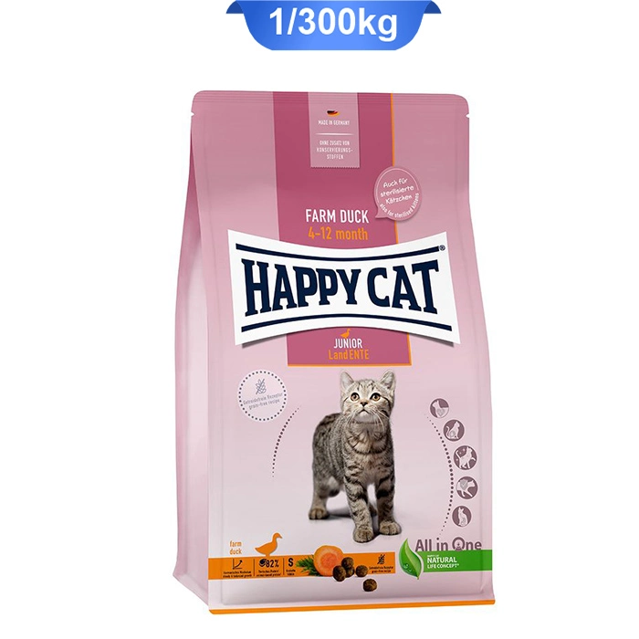 junior_cat_duck junior_cat_duck