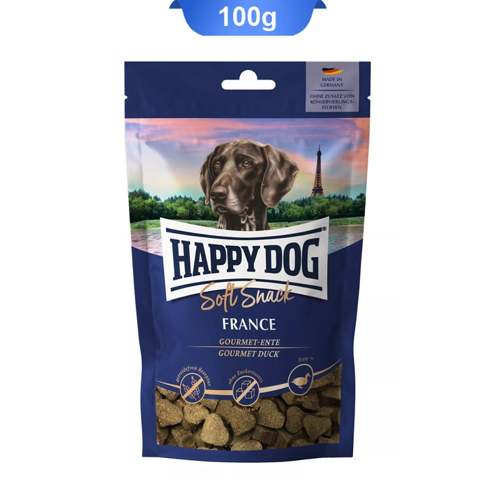 tashvighi_france tashvighi_france