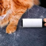 رول پرزگیر موی سگ و گربه 50 برگی به همراه 2 عدد یدکی کد 106009 - Image 2