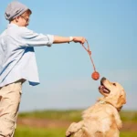 اسباب بازی توپ طناب دار سگ (طول 32 سانتی متری) کد 106042 - Image 5