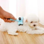 برس پلاستیکی سگ و گربه به همراه دکمه تخلیه مو کد 106014 - Image 6