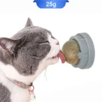 آبنبات دیواری گربه طعم کت نیپ مدل خرسی کد 106037