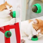 آبنبات دیواری گربه طعم کت نیپ مدل خرسی کد 106037 - Image 2