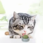 آبنبات دیواری گربه طعم کت نیپ کد 106036 - Image 5