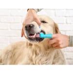 مسواک انگشتی سگ و گربه 2 عددی - Image 2