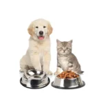 ظرف آب و غذا حیوانات استیل 16 سانتی متر مدل پنجه کد 106017 - Image 4