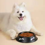 ظرف آب و غذای سگ و گربه از جنس استیل رنگی طرح استخوان قطر 15/5 سانتی متر کد 106045 - Image 2