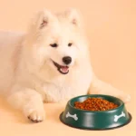 ظرف آب و غذای سگ و گربه از جنس فلز لعاب دار طرح استخوان قطر 26 سانتی متر کد 106048 - Image 2