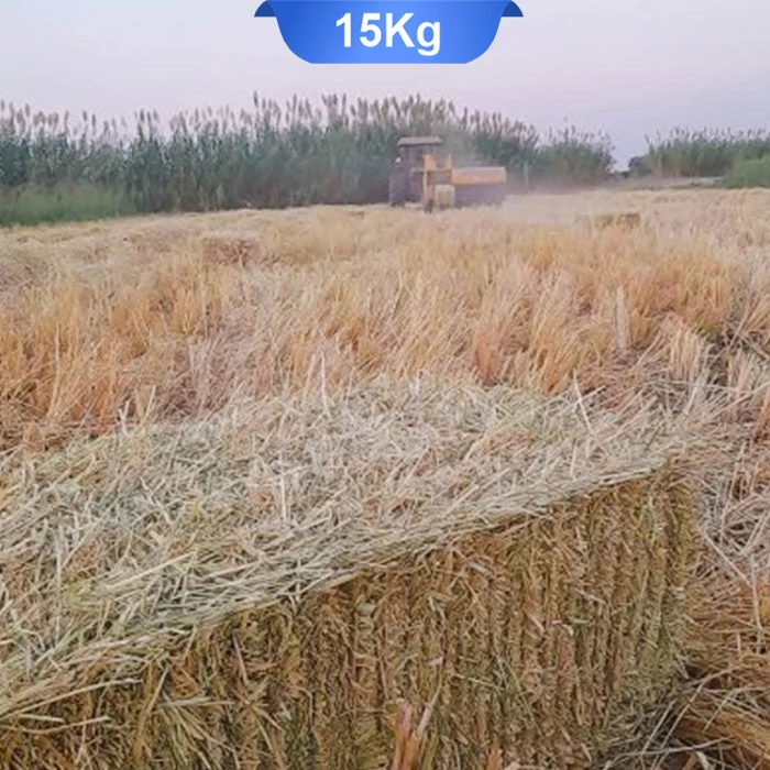 berenj کاه و علوفه برنج برای جوندگان وزن 15 کیلوگرم - Image 1