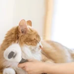 برس سگ و گربه به همراه دکمه تخلیه دار کد 106054 - Image 8