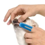 ست مسواک 3 عددی سگ و گربه (پایه بلند و انگشتی) کد 106059 - Image 6