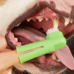 ست خمیر و مسواک سگ و گربه ( Dental Care ) وزن 70 گرم کد 106068 - Image 3