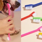 ست خمیر و مسواک سگ و گربه ( Dental Care ) وزن 70 گرم کد 106068 - Image 4