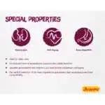 غذای خشک گربه مسن جوسرا سنیور وزن 2 کیلوگرم Josera Senior - Image 6