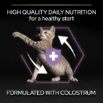 غذا خشک بچه گربه پروپلن (کیتن) طعم مرغ وزن 1 کیلوگرم (فله ای) ProPlan Kitten Healthy Start - Image 4