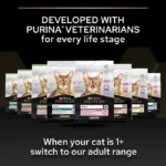 غذا خشک بچه گربه پروپلن (کیتن) طعم مرغ وزن 1 کیلوگرم (فله ای) ProPlan Kitten Healthy Start - Image 3