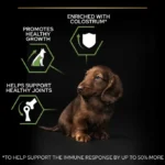 غذا خشک توله سگ نژاد کوچک (استارتر) پروپلن طعم مرغ وزن 1 کیلوگرم (فله) ProPlan Puppy Healthy Start - Image 5