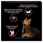 پوچ گربه بالغ پروپلن دلیکیت طعم بوقلمون وزن 85 گرم ProPlan Delicate Adult - Image 5