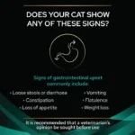 پوچ گربه گسترو اینتستینال پروپلن وزن 85 گرم ProPlan Gastrointestinal - Image 2