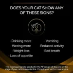 غذا خشک گربه رنال فانکشن پروپلن وزن 1 کیلوگرم ( زیپ کیپ فله ) ProPlan Renal Cat - Image 9