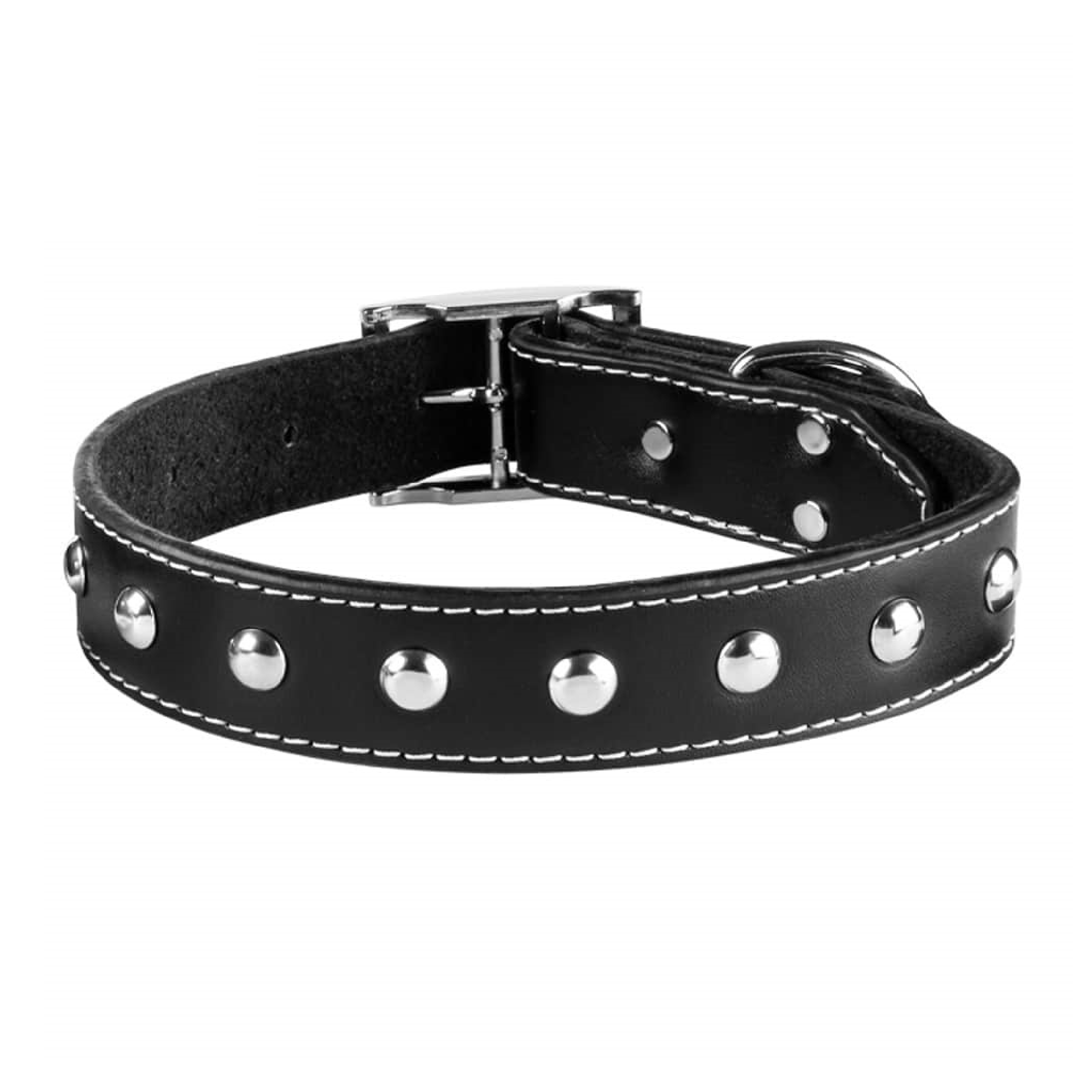dog-collar-size4-parch قلاده گردنی سگ نیناپت مدل پرچ دار سایز 4