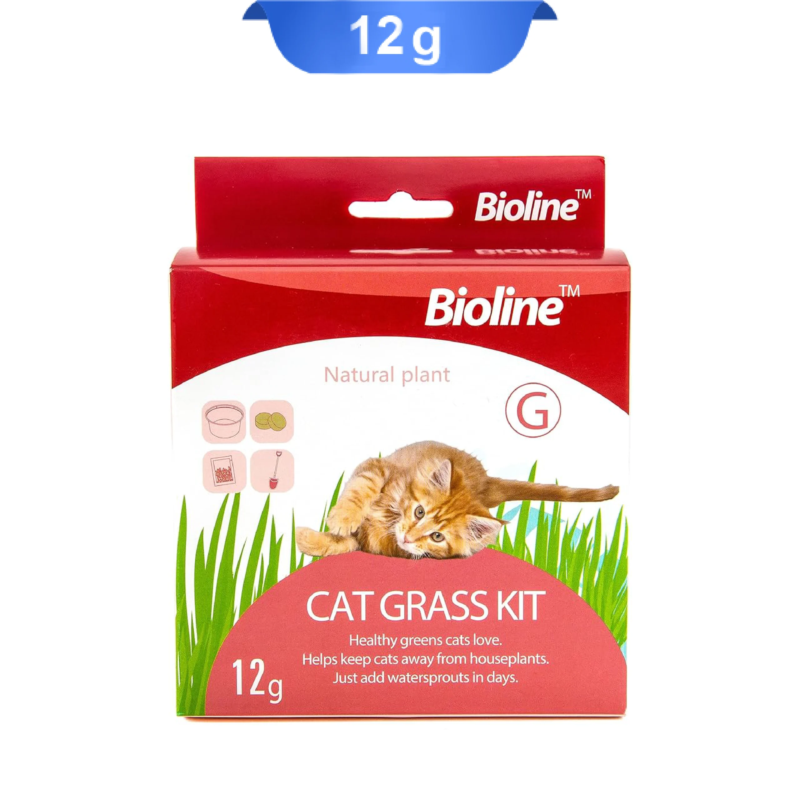 bioline-natural-plant-cat-grass-kit-12g بذر علف گربه بایولاین وزن 12 گرم