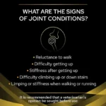 غذا خشک سگ بالغ پروپلن مشکلات مفصلی طعم ماهی وزن 3 کیلوگرم ProPlan Joint Mobility - Image 5