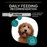 غذا خشک سگ بالغ پروپلن نوروکر طعم مرغ وزن 3 کیلوگرم ProPlan Neuro Care - Image 2