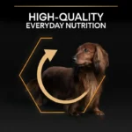 غذا خشک روزانه سگ بالغ نژاد کوچک پروپلن وزن 3 کیلوگرم ProPlan Small and Mini Everyday Nutrition - Image 7