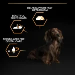 غذا خشک روزانه سگ بالغ نژاد کوچک پروپلن وزن 3 کیلوگرم ProPlan Small and Mini Everyday Nutrition - Image 9