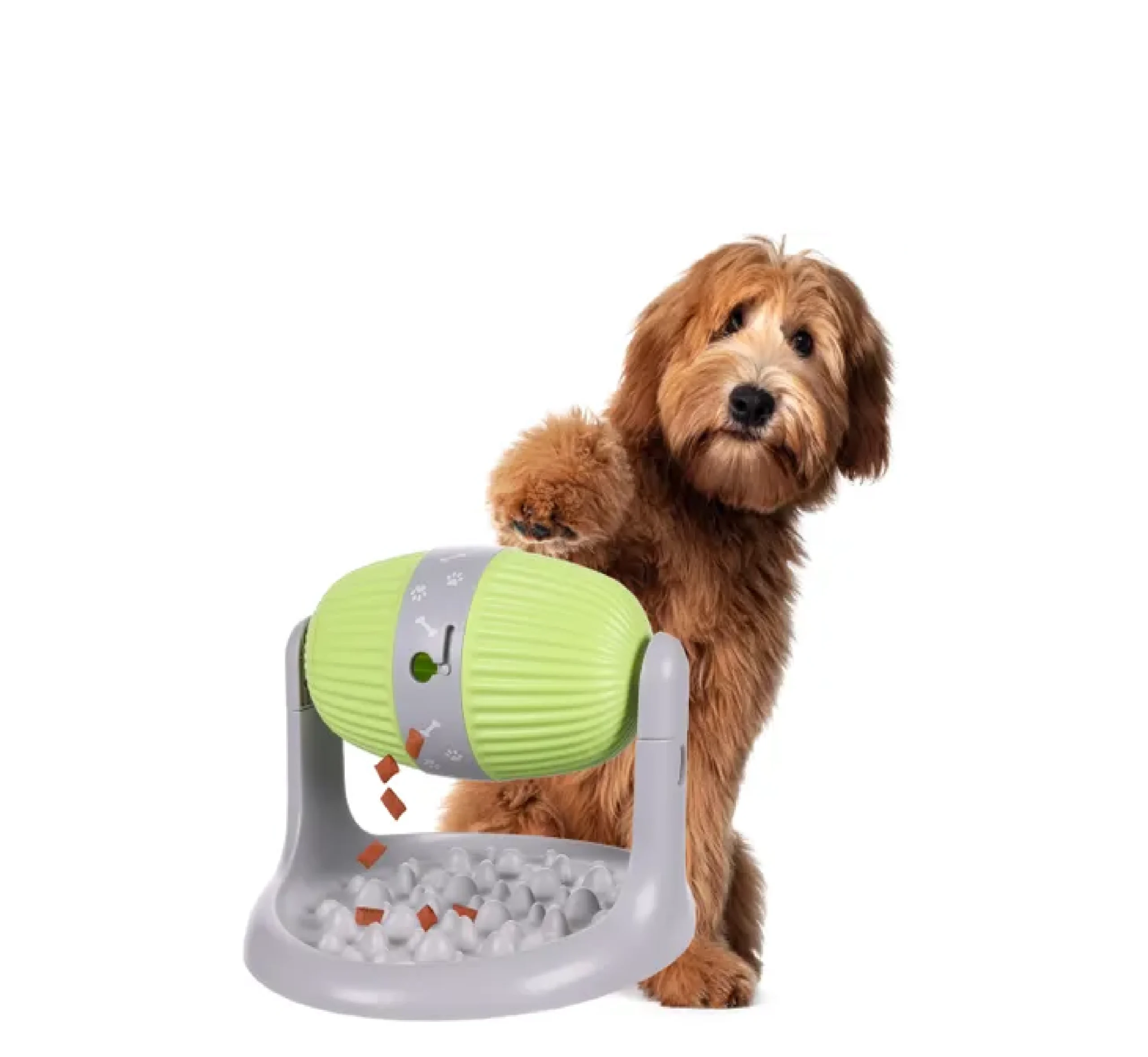 toy-for-cat-and-dogs اسباب بازی غلتک چرخان سگ و گربه - Image 1