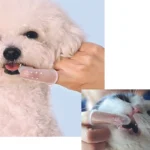 مسواک انگشتی سگ و گربه سیلیکونی شفاف - Image 2